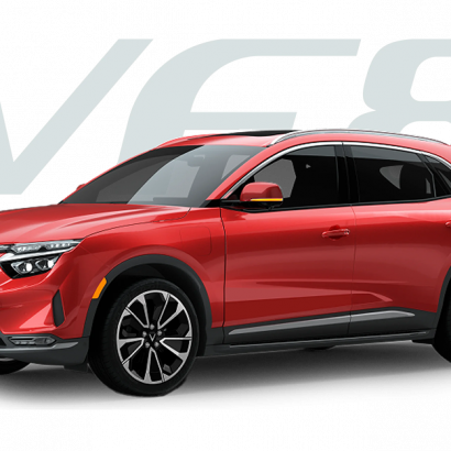 Vf81