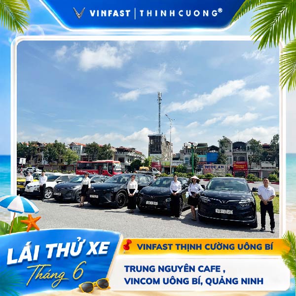 lai-thu-xe-vinfast-thinh-cuong-9