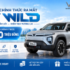 Vinfast vf wild