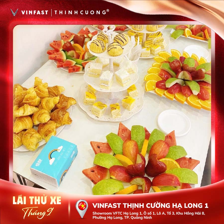 Lai thu HL1 12
